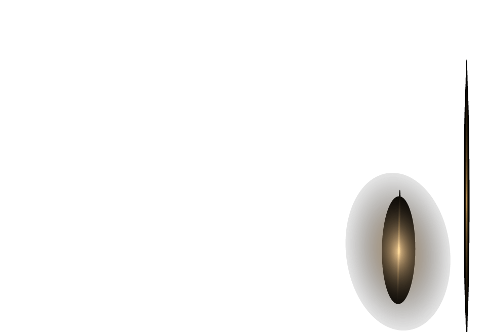 敘寫未來新章 過嶺潛力金軸 來者不凡