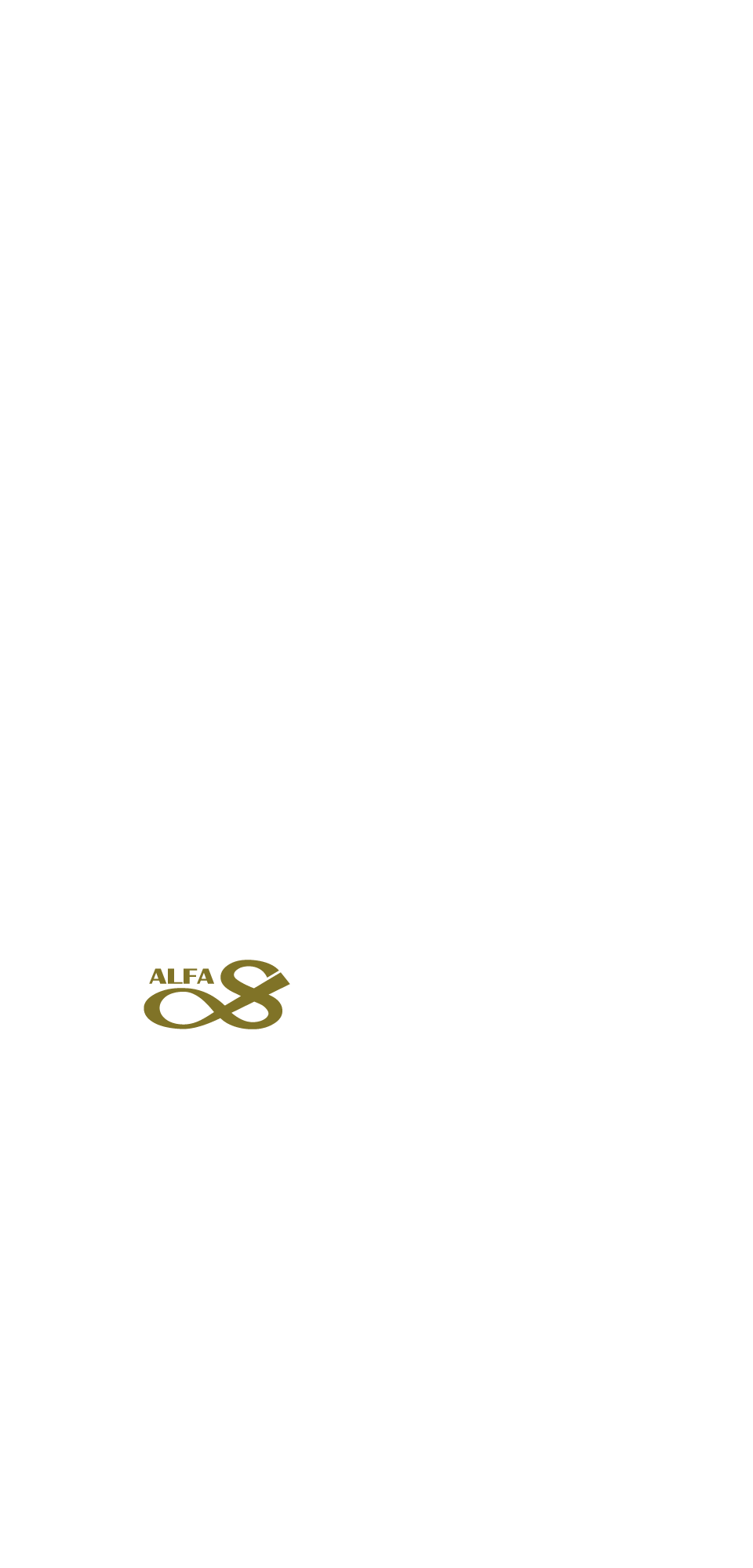 ALFA SAFE專利柱中柱